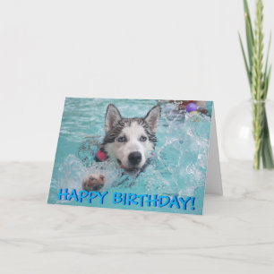 Swimming husky photo birthday card