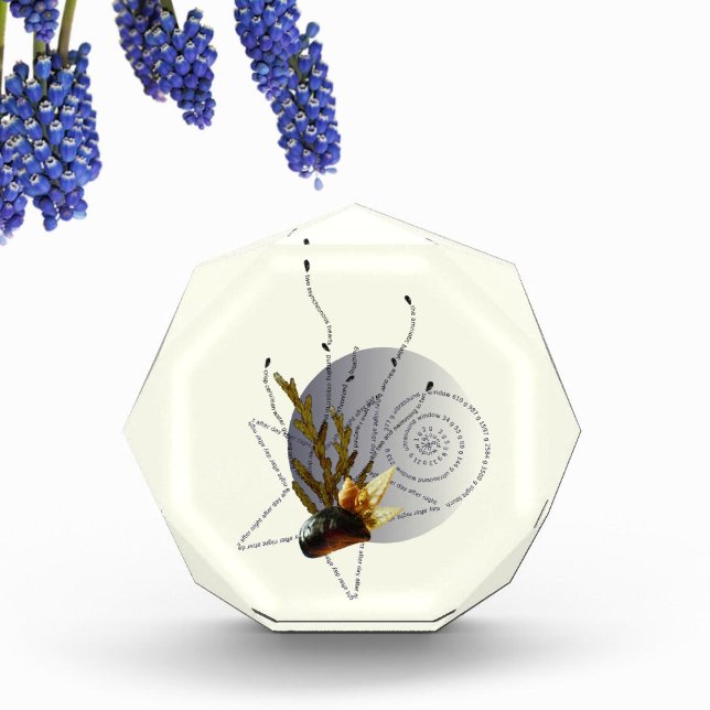 Swimming in 2 pregnancy poem coastal star modern photo block (Creator Uploaded)