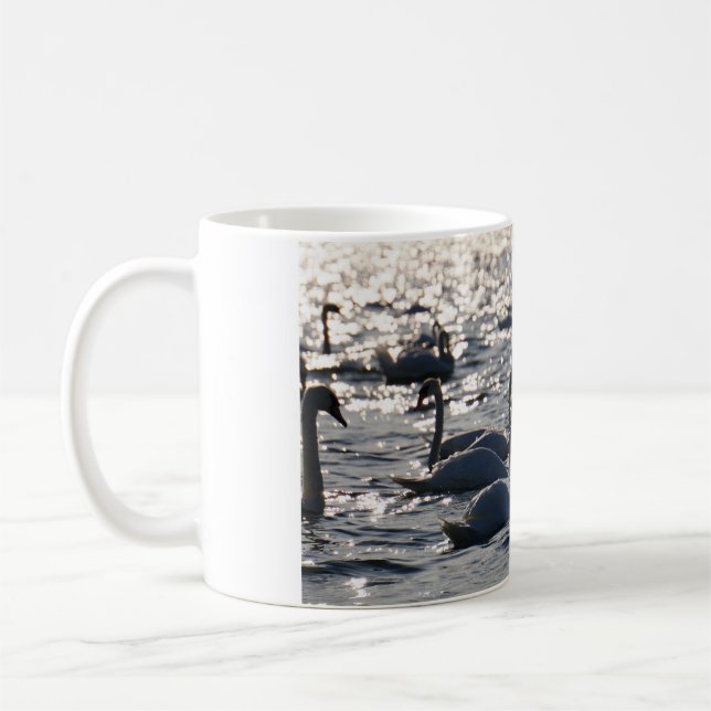 Swimming in a group on the water with sparkling z coffee mug (Left)