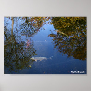 Swimming in the Sky Poster