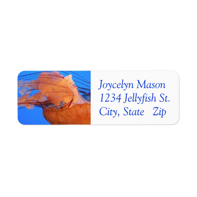 Swimming Jellyfish Return Address Labels (Front)