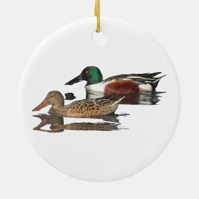 Swimming Northern Shovelers Ceramic Tree Decoration (Back)