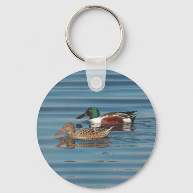 Swimming Northern Shovelers Keychain (Front)