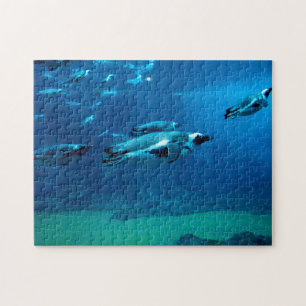 Swimming Penguins, Jigsaw Puzzle