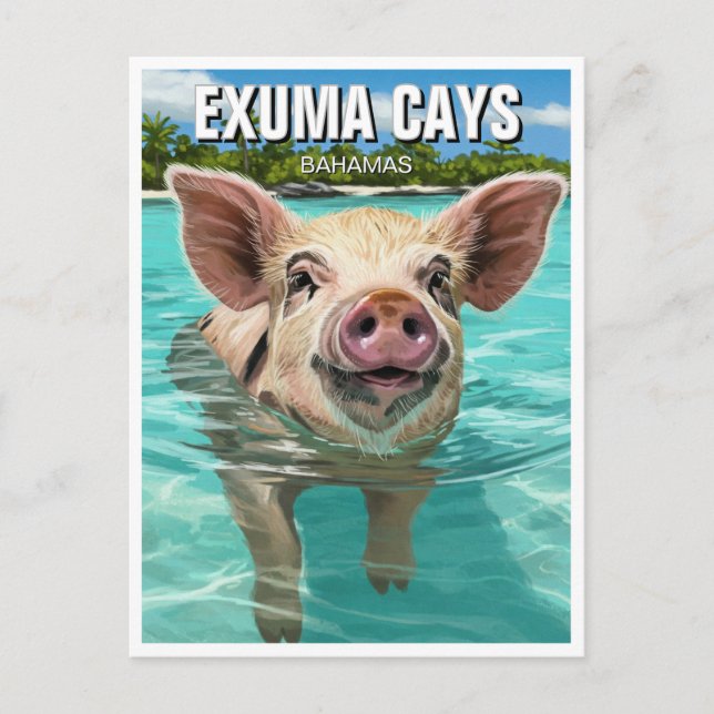 Swimming Pig Exuma Cays Bahamas Travel Postcard (Front)