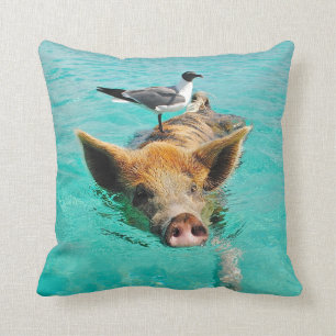 Swimming Pig with a Passenger Cushion