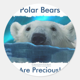 SWIMMING POLAR BEAR CLASSIC ROUND STICKER