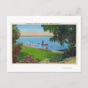 Swimming Scene at Cayuga Lake State Park Postcard
