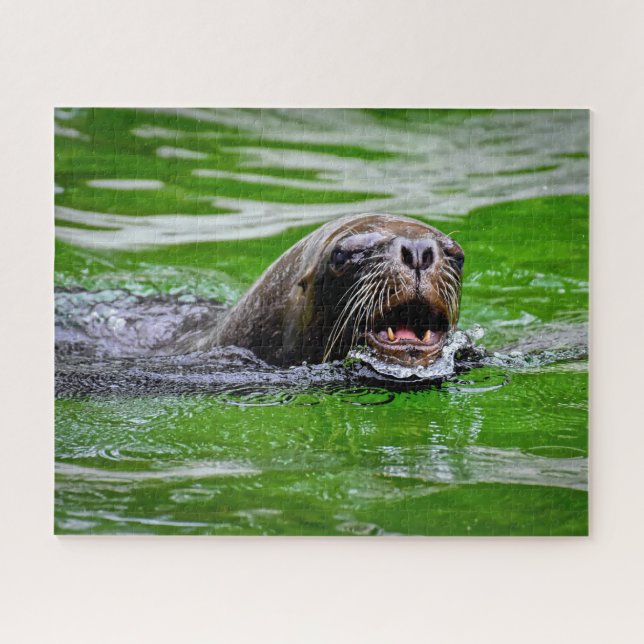 Swimming Sea Lion Close Up, Jigsaw Puzzle (Horizontal)