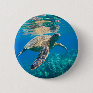 Swimming Sea Turtle 6 Cm Round Badge