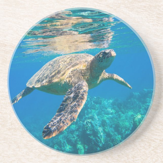 Swimming Sea Turtle Coaster (Front)