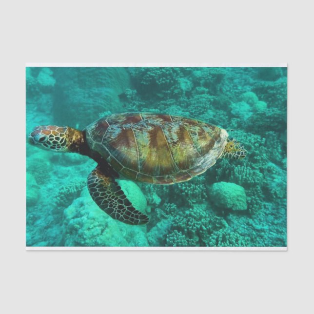 Swimming Sea Turtle in Ocean Waters with Coral Tissue Paper (Front)