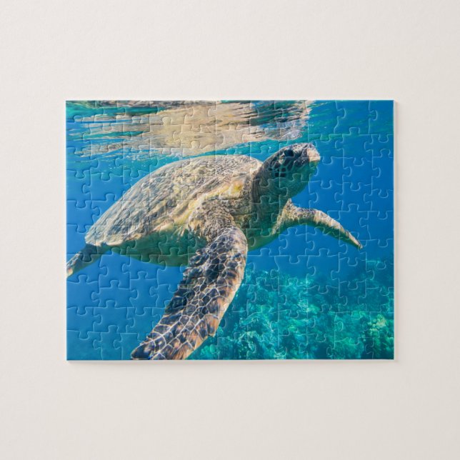 Swimming Sea Turtle Jigsaw Puzzle (Horizontal)