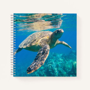 Swimming Sea Turtle Notebook
