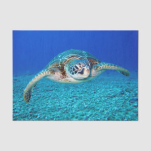 Swimming Sea Turtle Tissue Paper