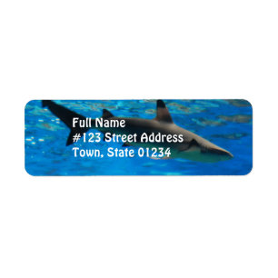 Swimming Shark Mailing Labels