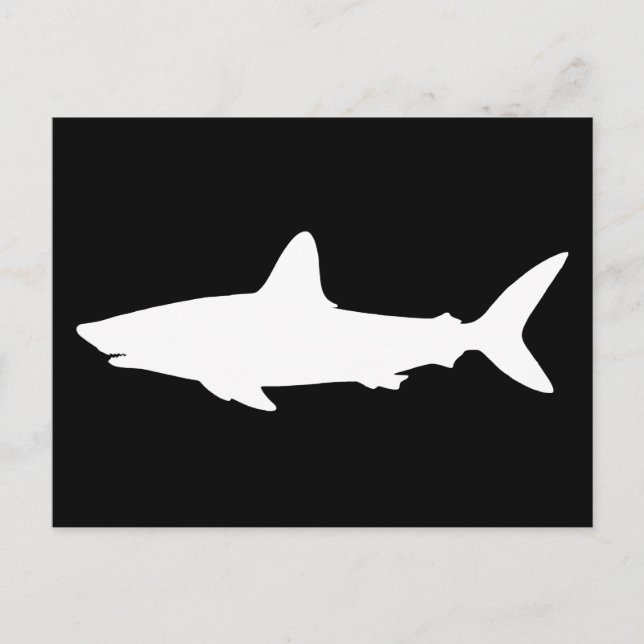 Swimming Shark Postcard (Front)