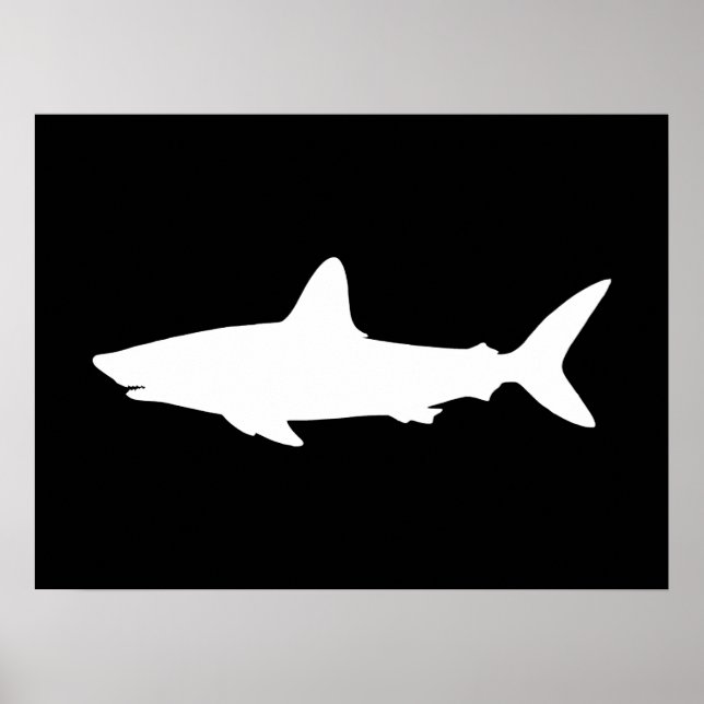 Swimming Shark Poster (Front)