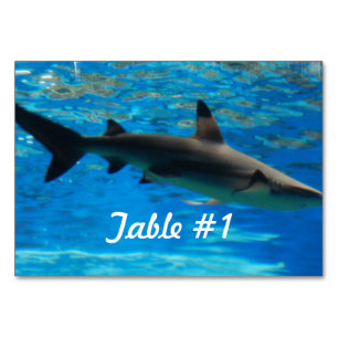 Swimming Shark Table Number