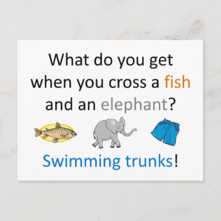Swimming Trunks Joke Postcard