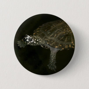 Swimming Turtle 6 Cm Round Badge