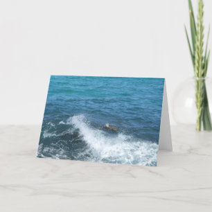 swimming turtle greeting card (blank inside)