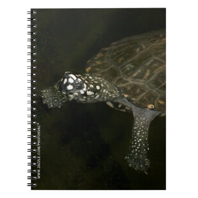 Swimming Turtle Notebook (Front)