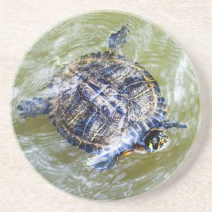 Swimming Turtle Says Hello Coaster