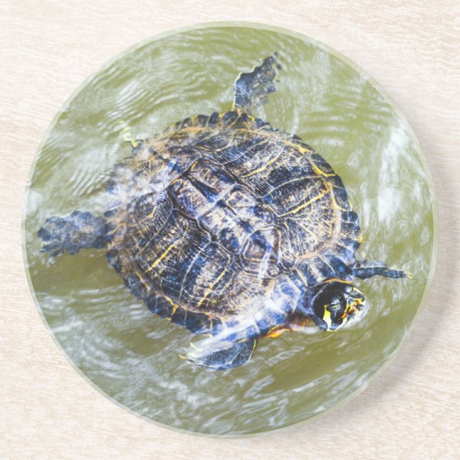 Swimming Turtle Says Hello Coaster (Front)