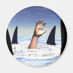 Swimming with sharks magnet