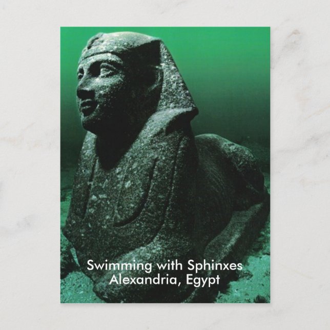 Swimming with Sphinxes Postcard (Front)