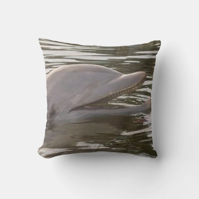 Swimming with the Dolphins Throw Pillow (Front)