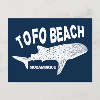 Swimming With Wale Sharks - Tofo Beach Mozambique Postcard