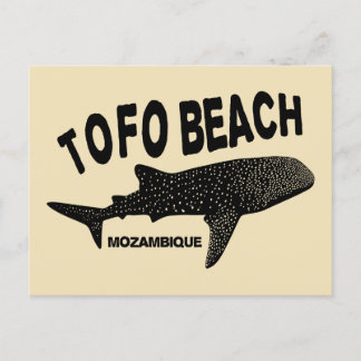 Swimming With Wale Sharks - Tofo Beach Mozambique Postcard