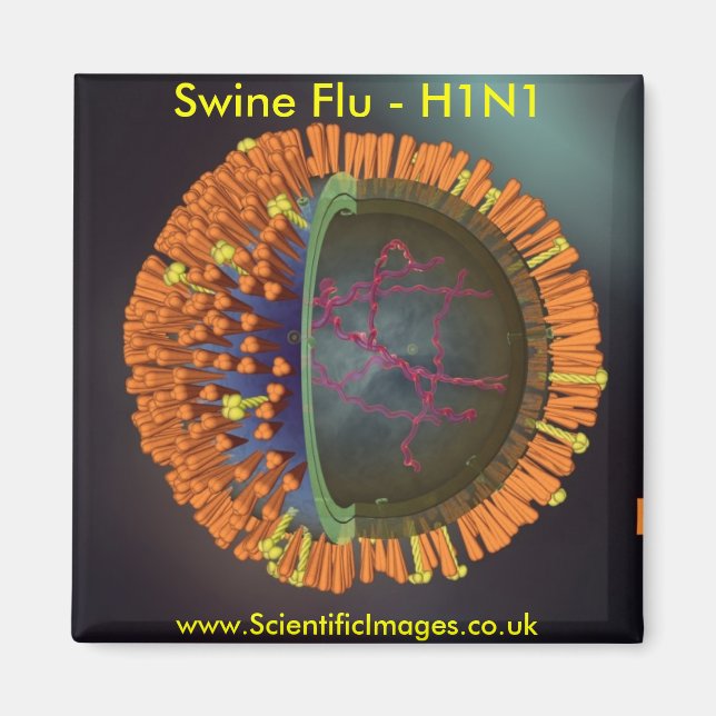 Swine Flu Magnet (Front)