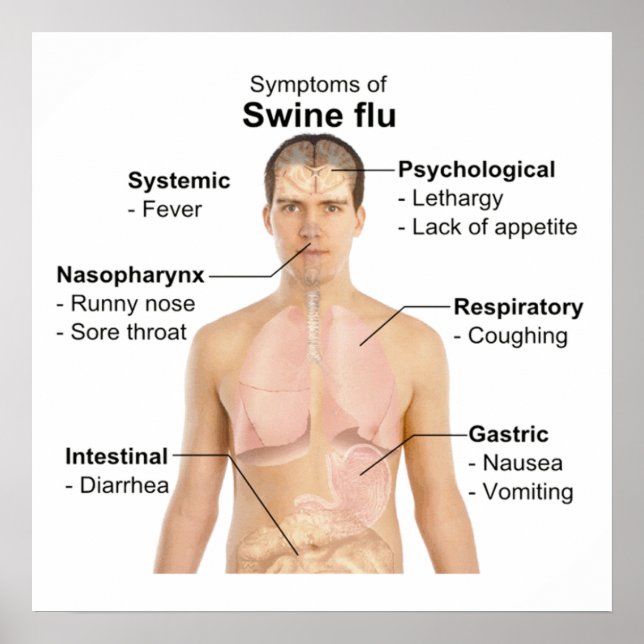 Swine Flu Poster (Front)