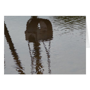 Swing Reflection in Flash Flood Water