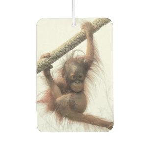 Swinging Baby Orangutan Air Freshener