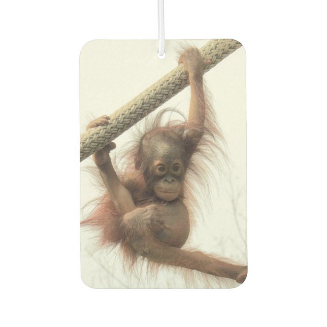 Swinging Baby Orangutan Air Freshener (Front)