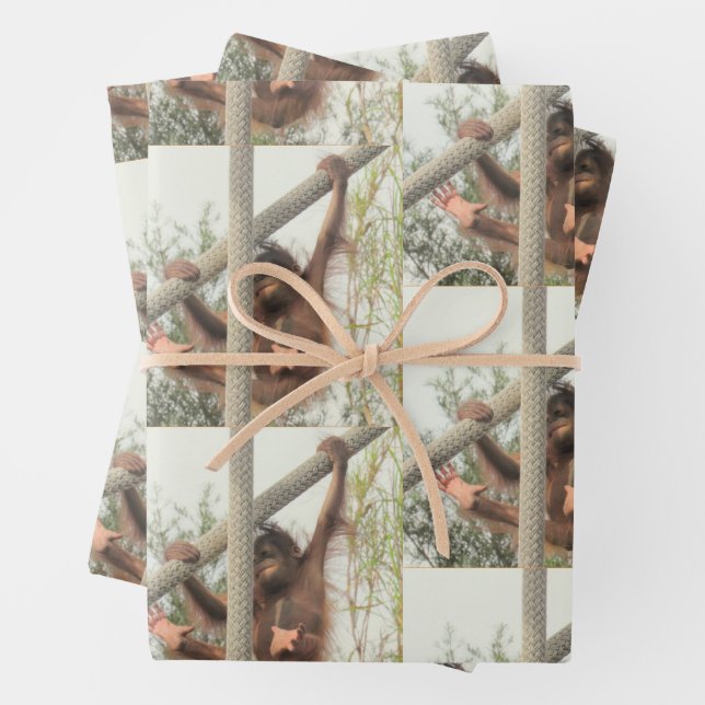 Swinging Baby Orangutan All Occasion Wrapping Paper Sheet (In situ)