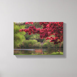 Swinging Bench 12x8  .75" Canvas Print