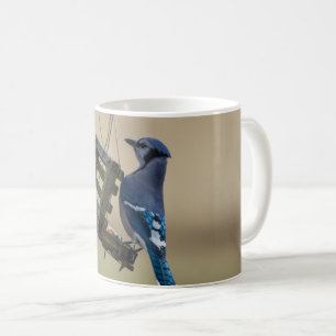 Swinging Blue Jay Coffee Mug