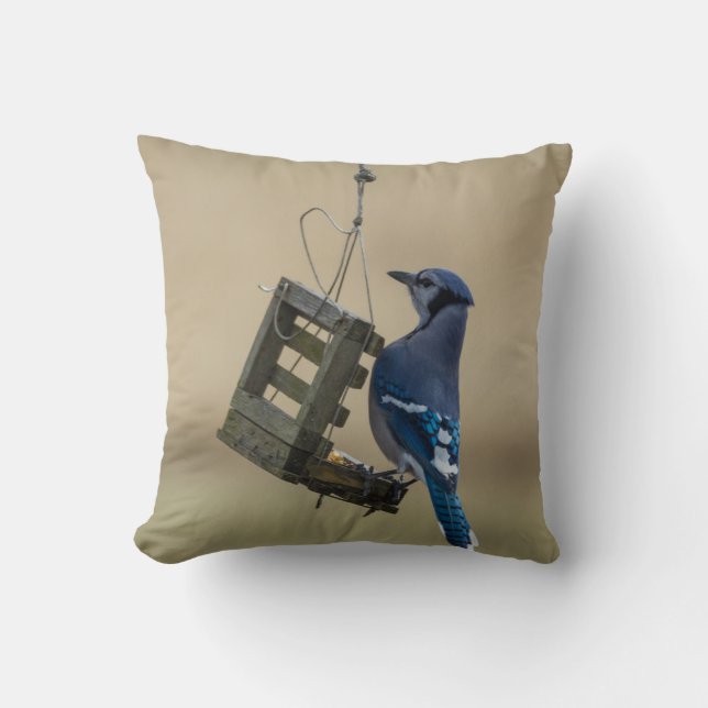 Swinging Blue Jay Cushion (Front)
