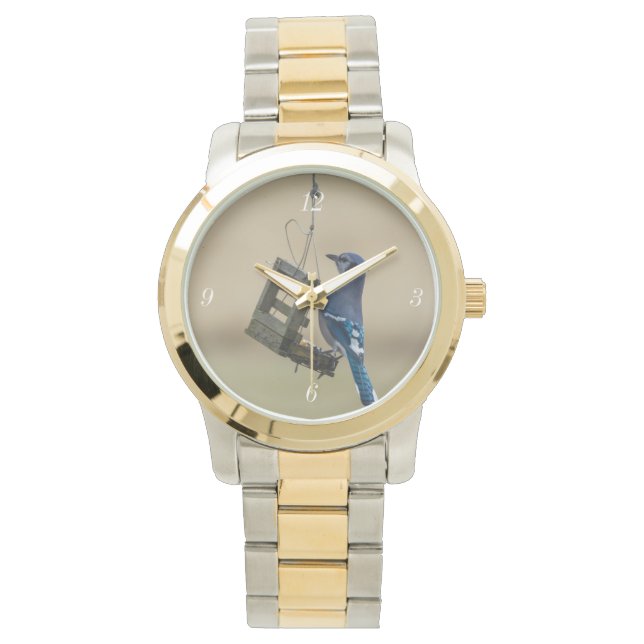 Swinging Blue Jay Watch (Front)