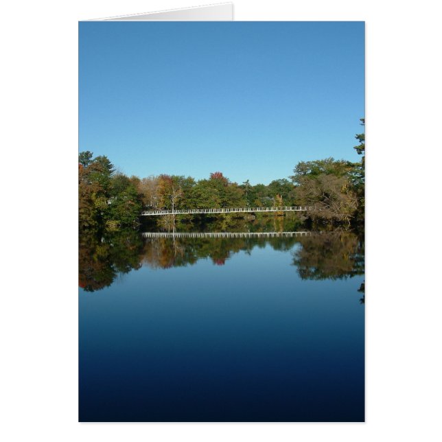 Swinging Bridge (Front)