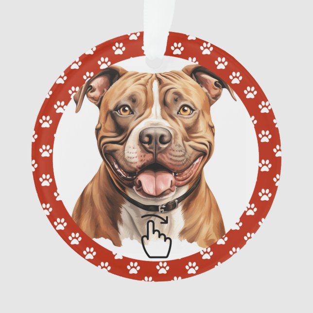 SWIPE RIGHT Version 2 - See Back ... Ornament (Front)