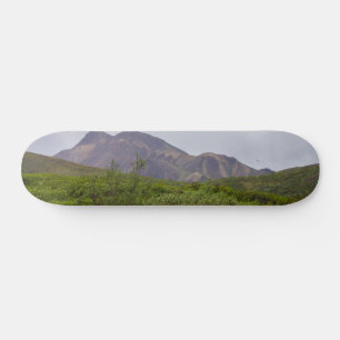 Swirled Beauty In Denali Skateboard