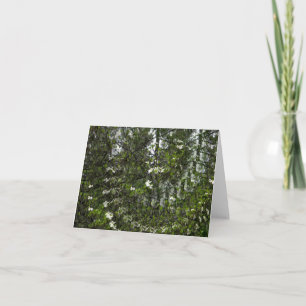 Swirling Dogwoods.... Card