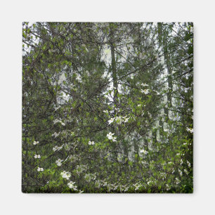 Swirling Dogwoods.... Magnet