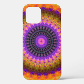 Swirling Kaleidoscope of Colours iPhone 12 Case